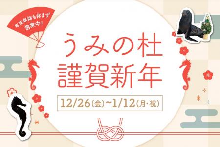 【仙台うみの杜水族館】年末年始も休まず営業！生きも