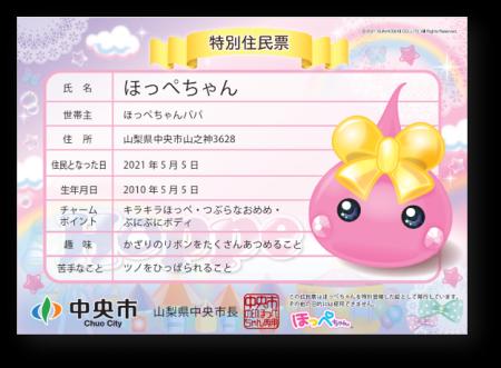 「平成カルチャーの象徴」がふるさと納税に降臨！生誕