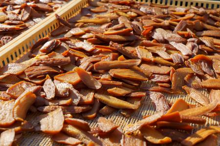 【人口4,000人の町・高知県土佐町の小さな集落から全