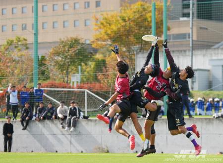 今年のアルティメット「日本一」が三区分で決定！[文