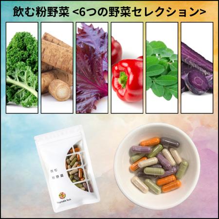 【卸・バイヤー様向け】新商品「飲む粉野菜 ＜ 6つの