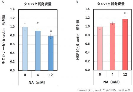 トラネキサム酸とナイアシンアミドの併用によるutf-8