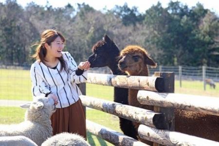 【JAF千葉】JAFデーinマザー牧場～マザーファームツア