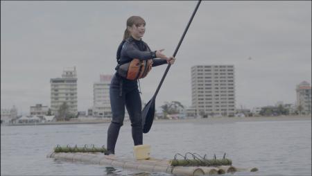 「海草アマモ」の種を、SUPで海上から種まき！浜名湖