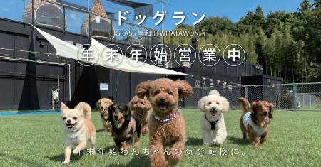 お正月も利用可能に！ドッグラン開放で叶える、わんち