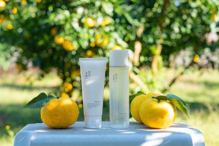 【草花木果】冬至に紐解く、＜高知ゆず農家・加工場が