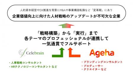 株式会社セレブレインとの業務提携に関するお知らせ
