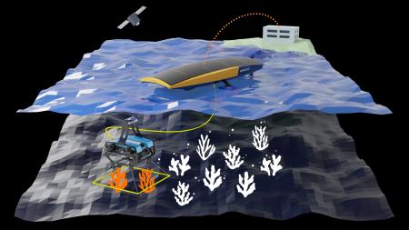 株式会社UMIAILE、“水上ドローン×水中ドローン連携技