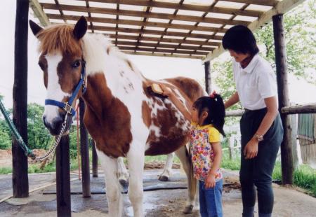 そごう千葉店の福袋　1月2日（金）午前10時から初売り