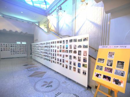 お気に入りの一枚に投票。大佛次郎×ねこ写真展2026