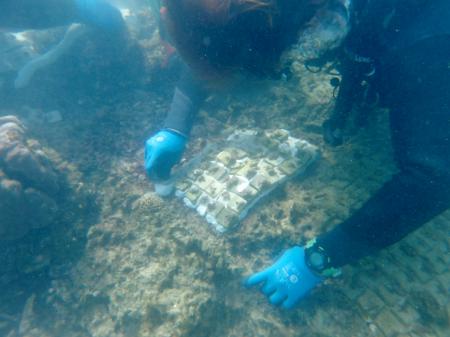 【オリックス自動車】「美ら海サンゴ大作戦2025utf-8