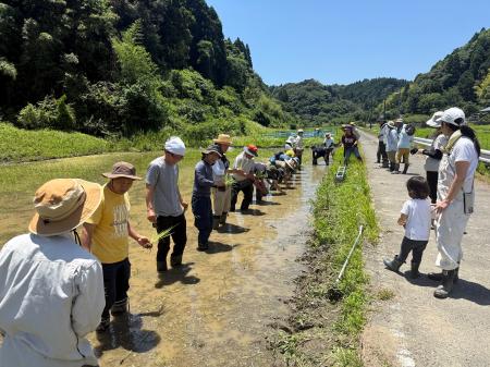 5年ぶりの農業統計では、農業人口が34万2000人減少し