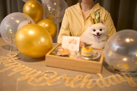 1日2組限定・お部屋のデコレーション＆ケーキを無料で