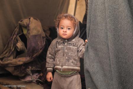 ガザ「飢きん」解消するも　深刻な食料不安は続く　ユ