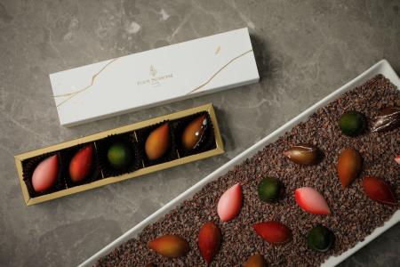 【フォーシーズンズホテル京都】本日より予約受付開始