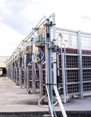 ブルーカーボン事業の創出に向けSymbrosia 社との協業