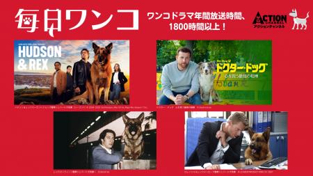 「ハドソン＆レックス」ファン300人超から応援メッセ