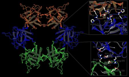 【横浜市立大学】有毒キノコ スギヒラタケ由来レutf-8