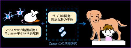 動物医療のイノベーションリーダーZpeer（ズピア）、