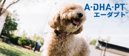 動物医療のイノベーションリーダーZpeer（ズピア）、