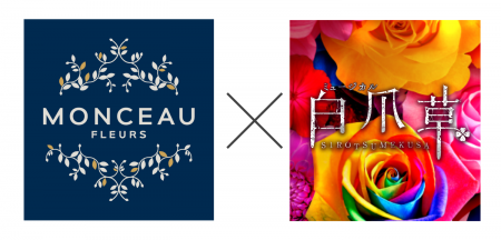 【スペシャルコラボ決定】新作ミュージカル『白爪草』