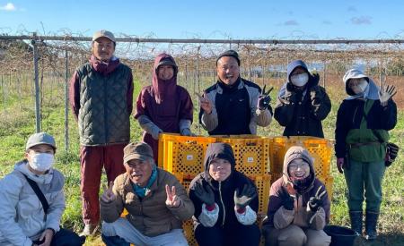 八升豆（国産ムクナ豆）の国産原料供給強化に向け、委