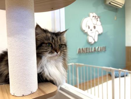 【静岡県2店舗目&首都圏拡大中】2025年の締めくくりは 【静岡県2店舗目&首都圏拡大中】2025年の締めくくりは