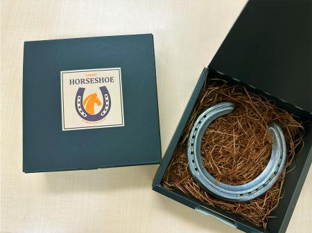 【累計販売数300個突破！】蹄鉄～FUCHU LUCKY HORSESH