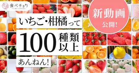 「いちご・柑橘って100種類以上あんねん！」食べチョ