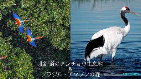 売上額の1%以上をNature Projectに寄付するプロジェク