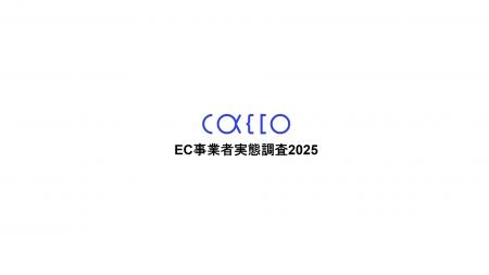 【EC事業者実態調査2025】3-Dセキュア導入義務化後も