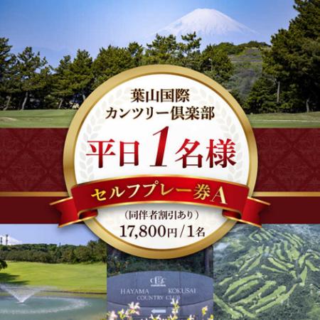 【横須賀市ふるさと納税】都心近くでリゾート気分！葉