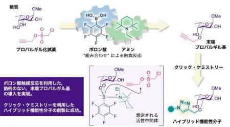 【日本大学】糖質に特定機能を簡便に付与する新utf-8