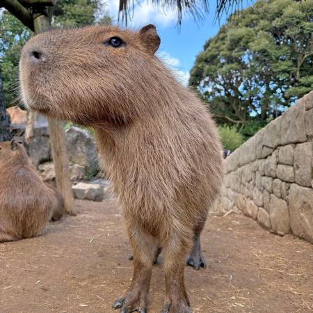 伊豆vs長崎vs埼玉vs那須vs石川 5園国コラボ！「第14回