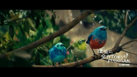 広域渋谷圏での都市緑化・生物多様性の取り組みを紹介