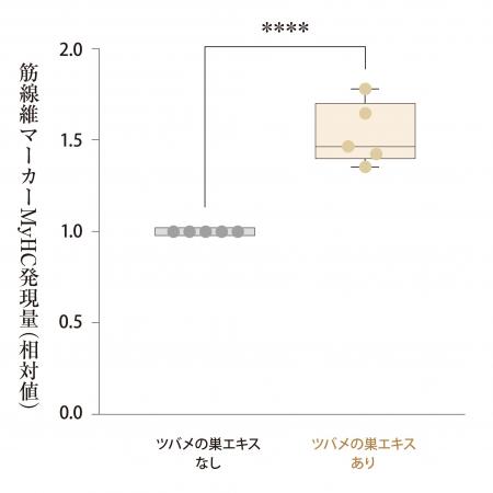 【特許取得】天然アナツバメの巣エキスが、筋肉の「修