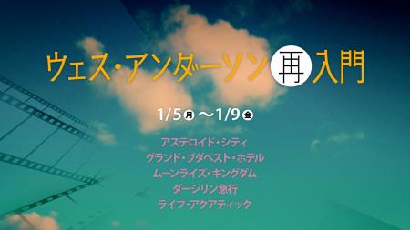 緻密な構図と独創的な色彩設計で世界観を築く、映画界