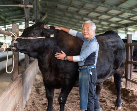 期間限定!!宮崎牛福袋!?希少部位のお肉をお届け！ふる