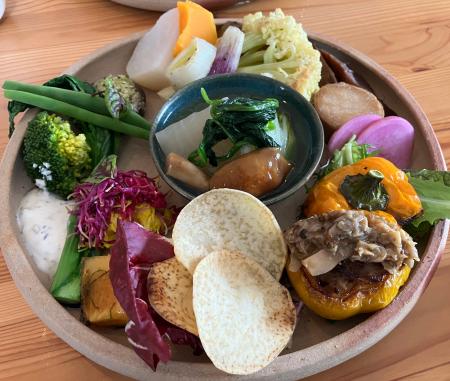 メタジェンセラピューティクスの腸内細菌研究事業が、