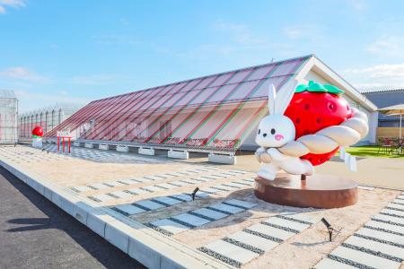 出雲大社近くに新観光スポット！いちご狩り施設「出雲