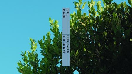 千葉県大多喜町に「大多喜有用植物苑」プロジェクトが