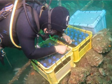 東駿河湾の豊かな自然で熟成されたクラフトビールを楽