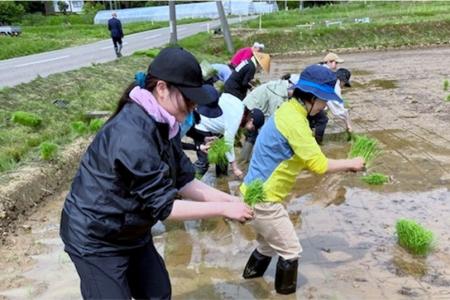 女性杜氏が手がける日本酒「天晴（あっぱれ）」を12月