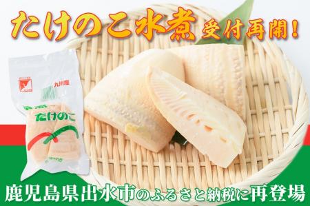 口コミ評価★4.9！「＜訳あり＞九州産たけのこ水煮」が