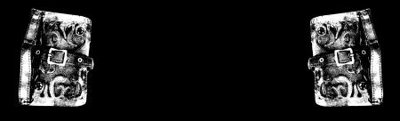 ヴィジュアル系ロックバンドNoGoDがFanicon(ファニコ