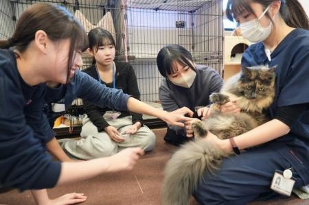 【姉妹校コラボ授業】「動物×こども」で「命」につい