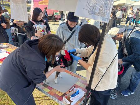 はじめての地域イベント出展で「犬猫の献血」を伝える