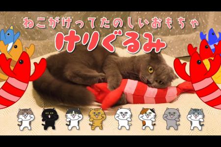 中毒性の高いBGMにあわせてかわいい猫のけりけり映像