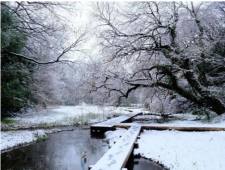 【埼玉県】自然共生サイト認定記念！北本自然観察公園
