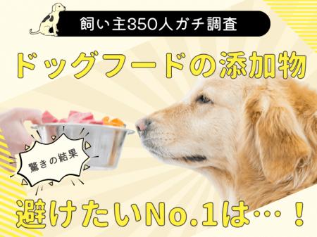 【飼い主350人調査】ドッグフードの「添加物」を気に